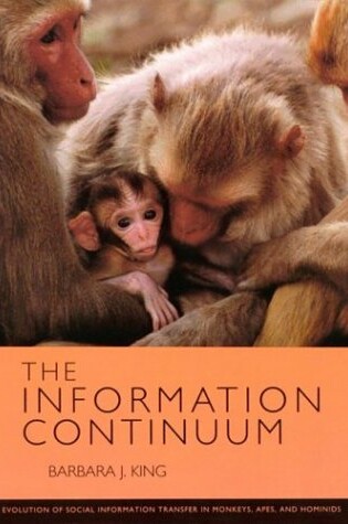 Cover of The Information Continuum