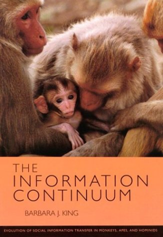 Book cover for The Information Continuum