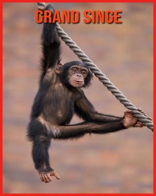 Book cover for Grand Singe