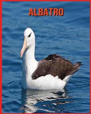 Book cover for Albatro