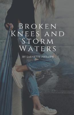 Book cover for Broken Knees and Storm Waters