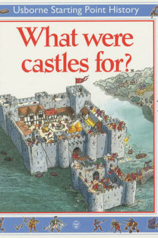 Cover of What Were Castles for?