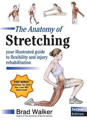 Book cover for Anatomy of Stretching, Second Edition