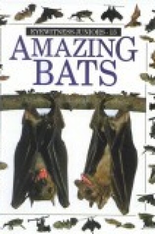 Cover of Amazing Bats