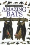 Book cover for Amazing Bats