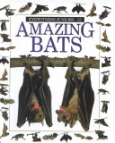 Cover of Amazing Bats