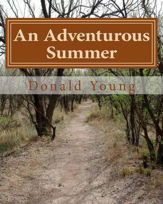 Book cover for An Adventurous Summer