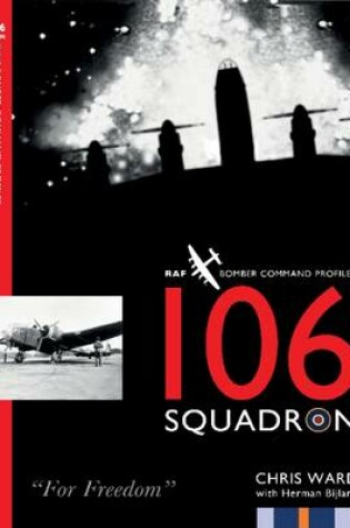 Cover of 106 Squadron
