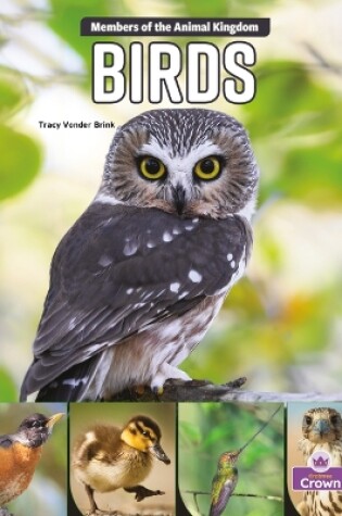 Cover of Birds