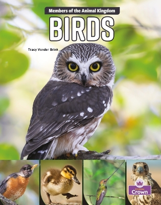 Book cover for Birds