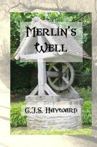 Cover of Merlin's Well