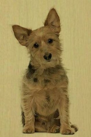 Cover of Australian Terrier