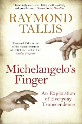 Cover of Michelangelo's Finger