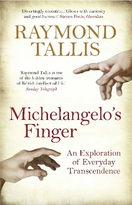 Book cover for Michelangelo's Finger