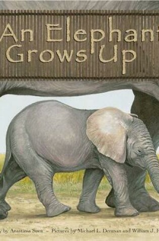 Cover of Wild Animals an Elephant Grows Up