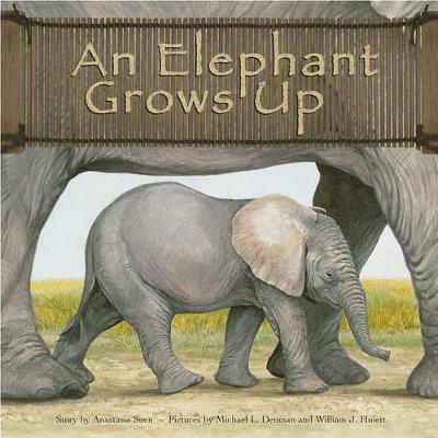 Book cover for An Elephant Grows Up (Wild Animals)