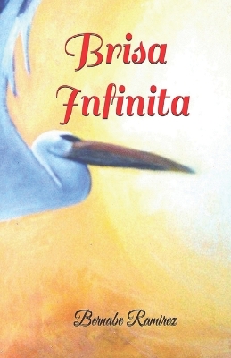 Book cover for Brisa Infinita