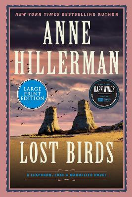 Book cover for Lost Birds
