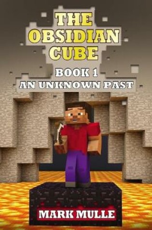Cover of The Obsidian Cube (Book 1)