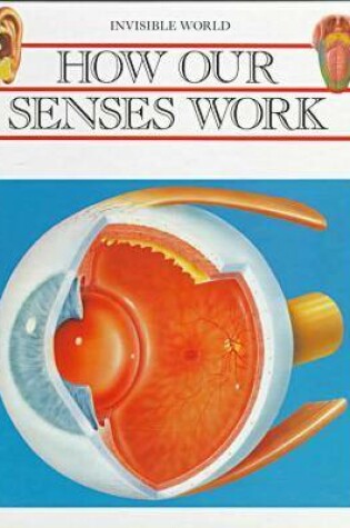 Cover of How Our Senses Work