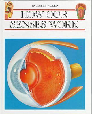 Book cover for How Our Senses Work