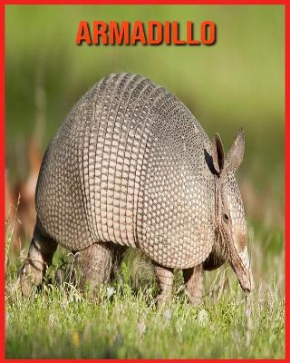 Book cover for Armadillo