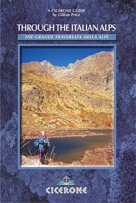 Book cover for Through the Italian Alps