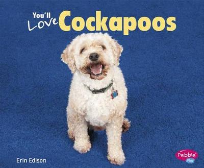Cover of You'll Love Cockapoos