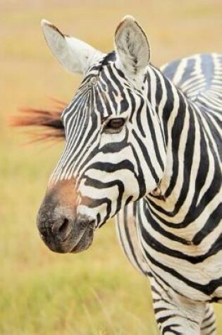 Cover of Lovely Black and White Striped Zebra in Africa Journal