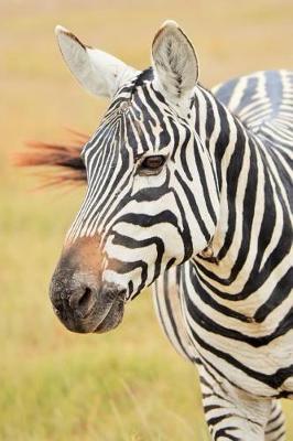 Book cover for Lovely Black and White Striped Zebra in Africa Journal