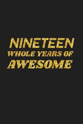 Book cover for Nineteen Whole Years Of Awesome
