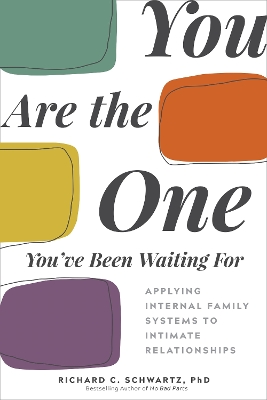 Book cover for You Are the One You've Been Waiting For