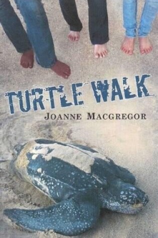 Cover of Turtle Walk