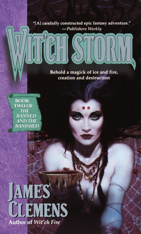 Book cover for Wit'ch Storm