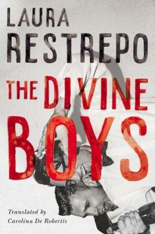 Cover of The Divine Boys