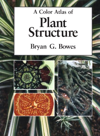 Book cover for A Color Atlas of Plant Structure