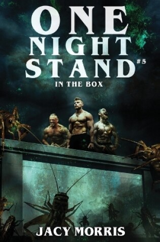 Cover of One Night Stand in The Box