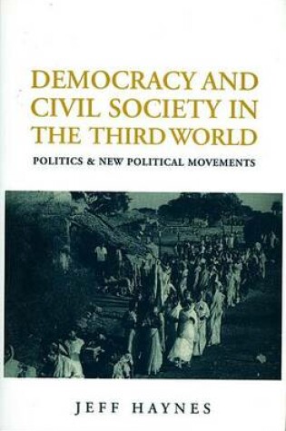 Cover of Democracy and Civil Society in the Third World: Politics and New Political Movements