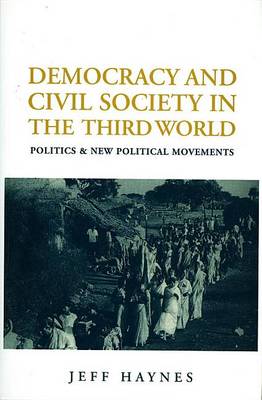 Book cover for Democracy and Civil Society in the Third World: Politics and New Political Movements