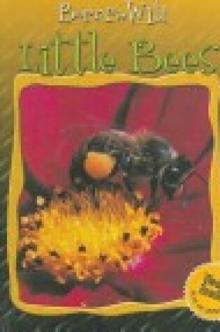 Cover of Little Bees