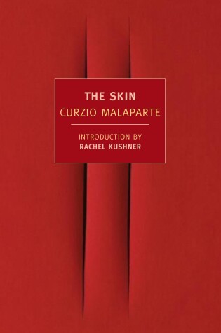 Cover of The Skin