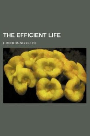 Cover of The Efficient Life