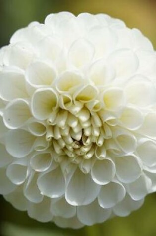 Cover of White Dahlia Flower Bloom Journal