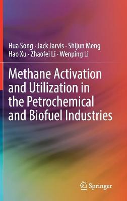 Book cover for Methane Activation and Utilization in the Petrochemical and Biofuel Industries