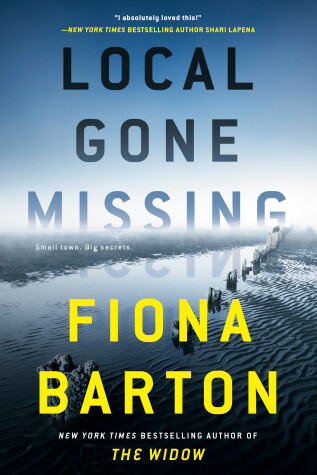 Book cover for Local Gone Missing