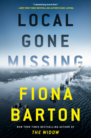 Cover of Local Gone Missing