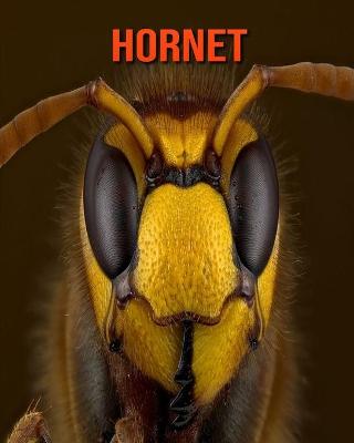Book cover for Hornet