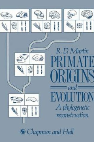 Cover of Primate Origins and Evolution