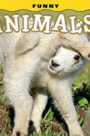 Cover of Funny Animals!