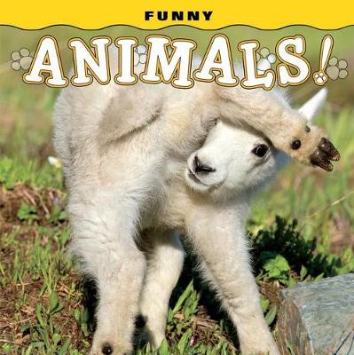 Book cover for Funny Animals!